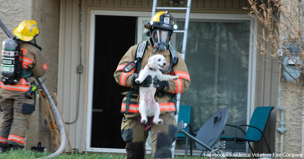 Smiling Puppy Warms Hearts of Firefighters Who Saved Him ...